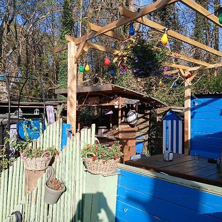 Maison 70M2 Calme Vue Sur Foret Salles  Dış mekan fotoğraf